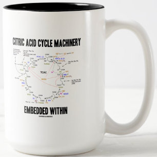 In Krebs eingebettete zitrische Zykturmaschine Zweifarbige Tasse
