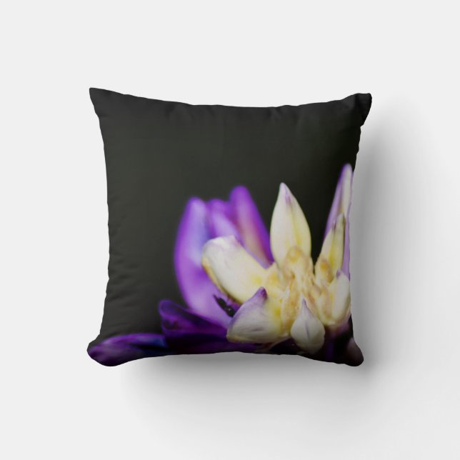 In Liebe mit Lupine Black Edge Kissen (Vorderseite)