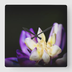 In Liebe mit Lupine Quadratische Wanduhr