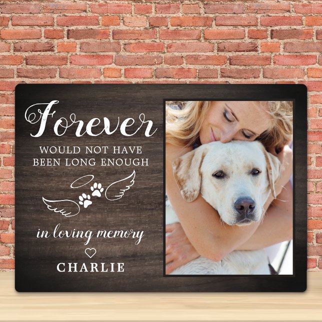 In Love Memory Angel Wings Pet Memorial Foto Fotoplatte (Von Creator hochgeladen)