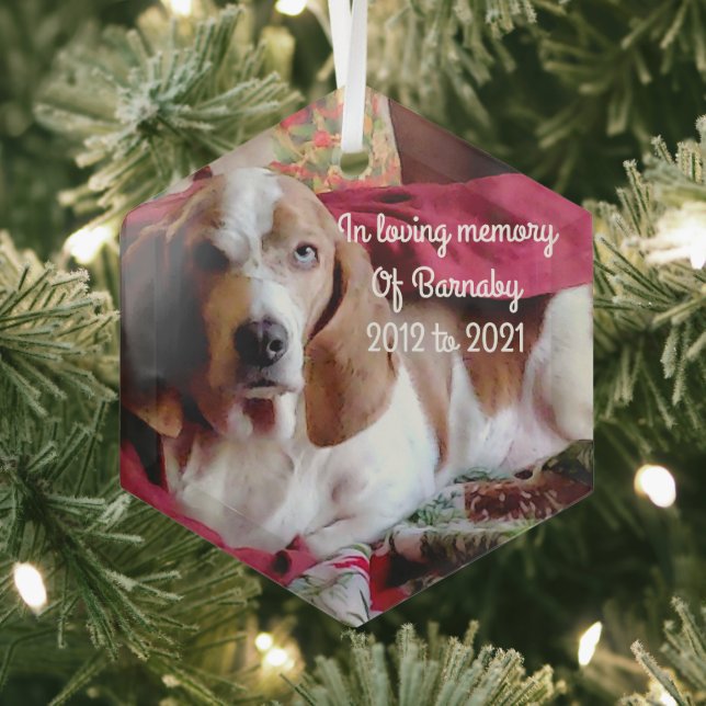 In Love Memory Begleiter Ornament Aus Glas (Insitu)