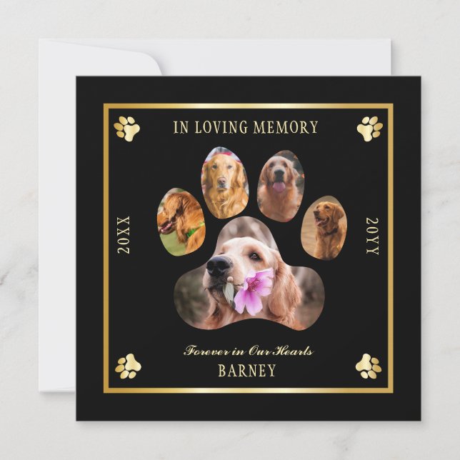 In Love Memory Foto Pet Memorial - Schwarz | Gold Einladung (Vorderseite)