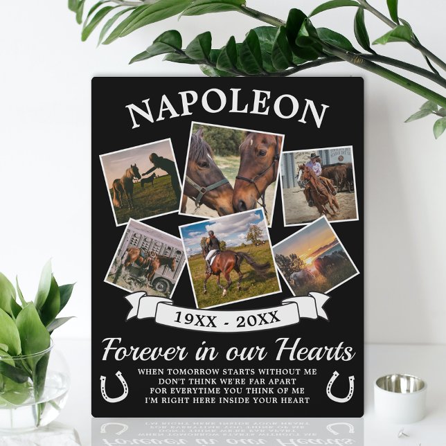 In Love Memory Horse Fotoplatte (Von Creator hochgeladen)