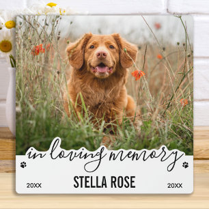 In Love Memory Modern Keepake Pet Memorial Fotoplatte