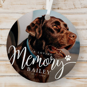 In Love Memory Pet Memorial Modern Simple Foto Ornament Aus Metall
