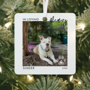 In Loving Memory 2 Fotos PET-Gedenk-Pfotenabdruck Ornament Aus Metall