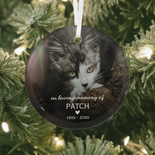 In Loving Memory Weihnachtsandenken Katzenfoto Ornament Aus Glas