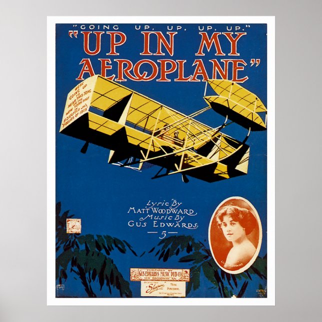 In meinem Flugzeug Poster (Vorne)