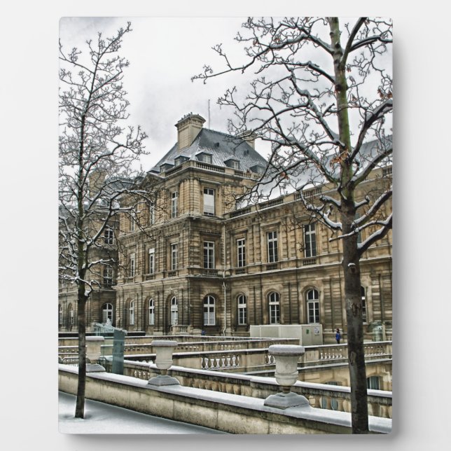 In Paris Fotoplatte (Vorderseite)