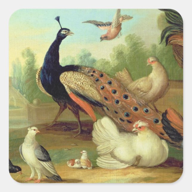 In Peacock, Doves, Chickens and a Jay in a Park Quadratischer Aufkleber (Vorderseite)