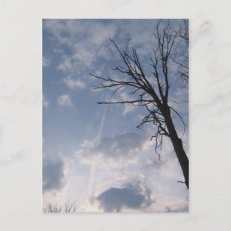 in Richtung Himmel Postkarte