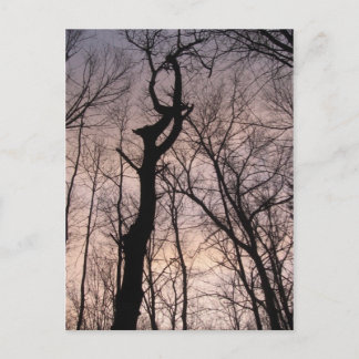 in Richtung Himmel Postkarte