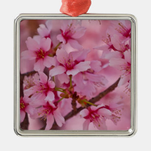 In Rosa gebadete japanische Kirschblüten Ornament Aus Metall