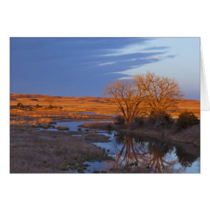 In Sonnenuntergangslicht getaucht der Calamus Rive