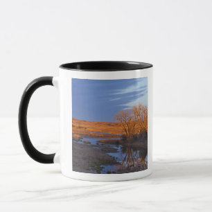 In Sonnenuntergangslicht getaucht der Calamus Rive Tasse