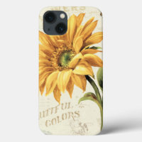 In Sunflower in Full Bloom