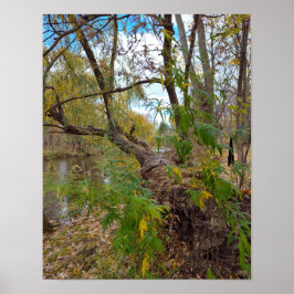 In the Absence of Music Poster