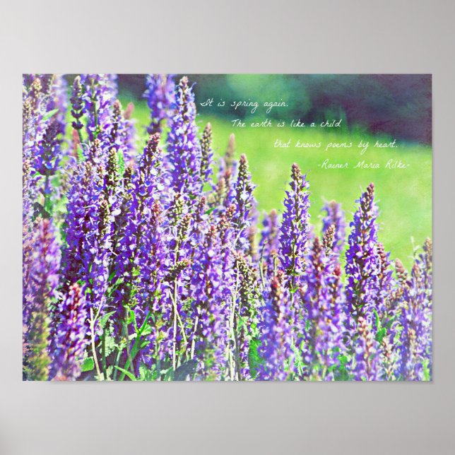 in the valley of purple poster (Vorne)