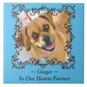 In unserem Herzen Forever Pet Memorial Keramik Til Fliese