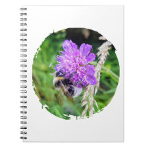 In voller Blüte – Notizbuch mit Hummelmotiv