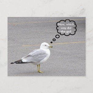 In welche Richtung? Postkarte