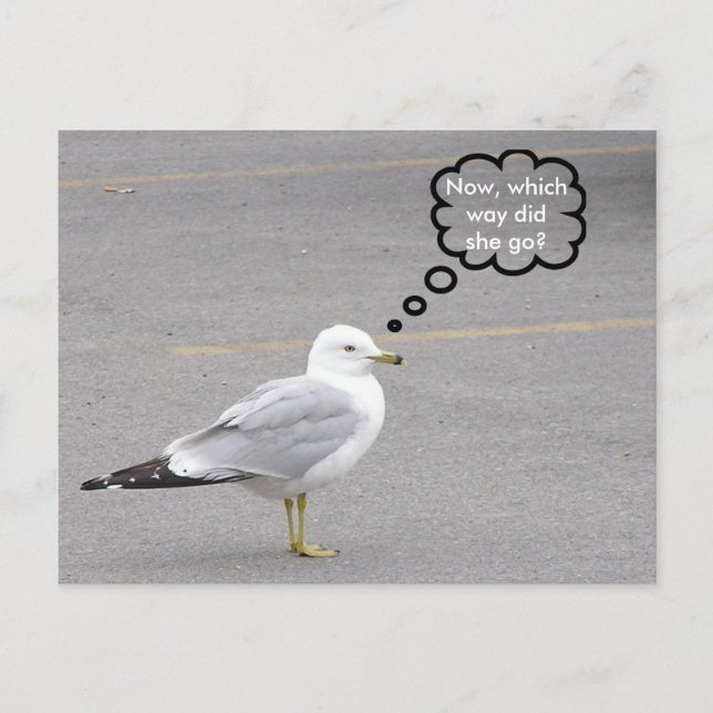 In welche Richtung? Postkarte (Vorderseite)