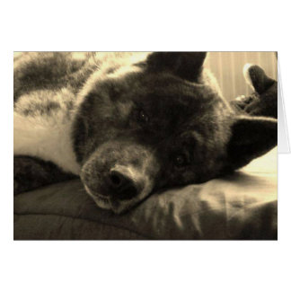 Inca fatiguée