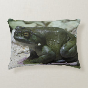 Incilius alvarius dekokissen