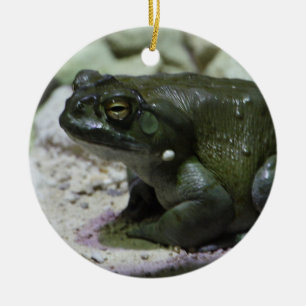 Incilius alvarius keramik ornament