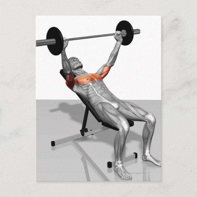 Incline Bench Press Postkarte (Vorderseite)