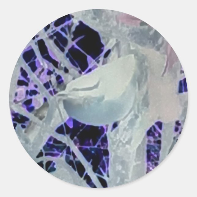 Incognito Bird Sticker (Vorderseite)