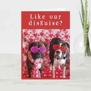 **INCOGNITO & SHY** SEIEN SIE UNSERE VALENTINE? KARTE