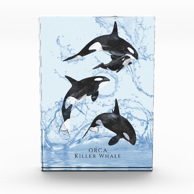 Incredible Black and White Watercolor Orcas Fotoblock (Vorderseite)