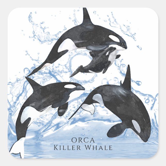 Incredible Black and White Watercolor Orcas Quadratischer Aufkleber (Vorderseite)