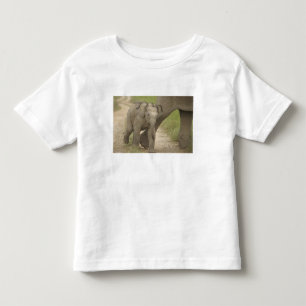 Indelefant / Asiatischer Elefant und Jungtier, Cor Kleinkind T-shirt