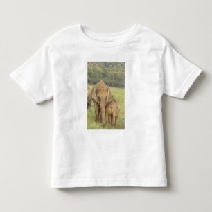 Indelefant / Asiatischer Elefant und Jungtier, Cor Kleinkind T-shirt