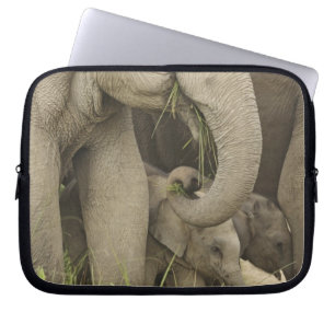 Indelefant / Asiatischer Elefant und Jungtier, Cor Laptopschutzhülle