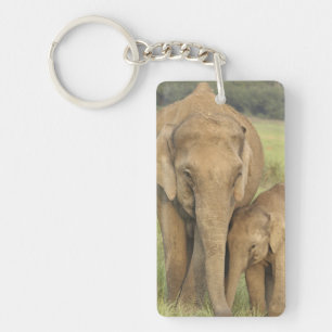 Indelefant / Asiatischer Elefant und Jungtier, Cor Schlüsselanhänger