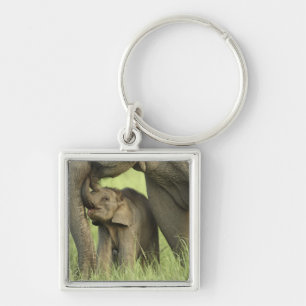 Indelefant / Asiatischer Elefant und Jungtier, Cor Schlüsselanhänger