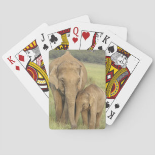 Indelefant / Asiatischer Elefant und Jungtier, Cor Spielkarten