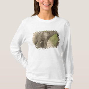 Indelefant / Asiatischer Elefant und Jungtier, Cor T-Shirt