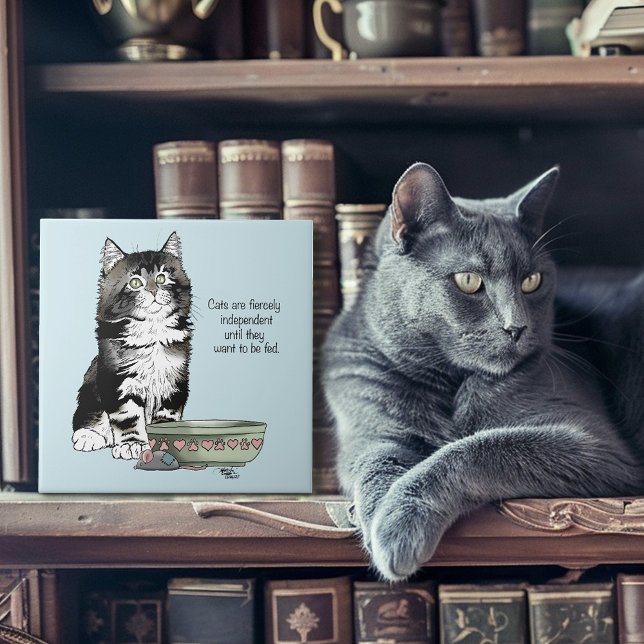 Independent Kitten Bowl Funny Fliese (Von Creator hochgeladen)