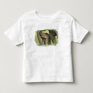 Inder / Asiatischer Elefant und Jungtier, Corbett Kleinkind T-shirt
