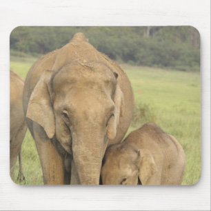 Inder / Asiatischer Elefant und Jungtier, Corbett Mousepad