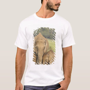 Inder / Asiatischer Elefant und Jungtier, Corbett T-Shirt