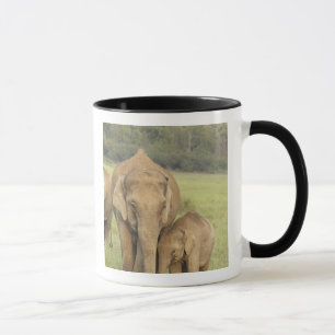 Inder / Asiatischer Elefant und Jungtier, Corbett Tasse
