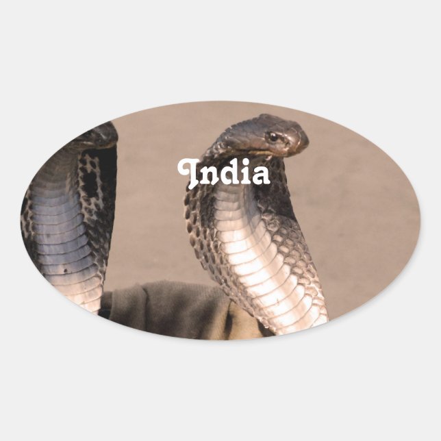 India Cobra Ovaler Aufkleber (Vorderseite)