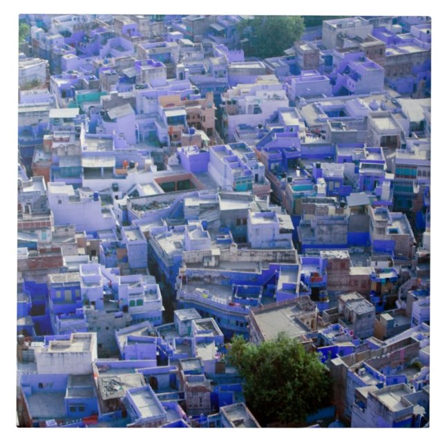 INDIA, Rajasthan, Jodhpur: Blue City of Jodhpur Fliese (Vorderseite)