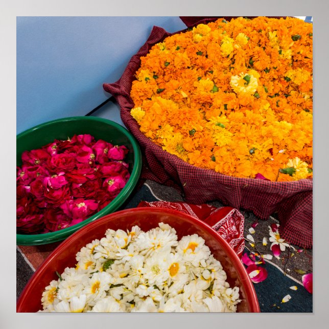 India, Rajasthan, Pipar Poster (Vorne)