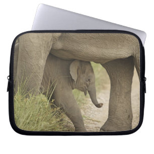 Indian / Asian Elephant and young one,Corbett Laptopschutzhülle